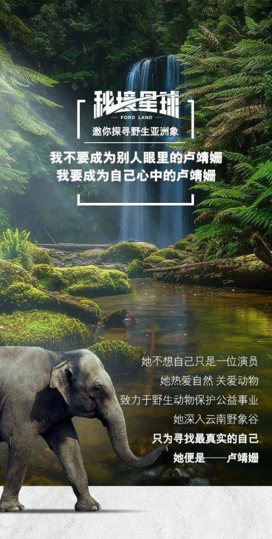 解救金刚鹦鹉