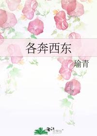 打造主城区商文旅综合体助力消费升级