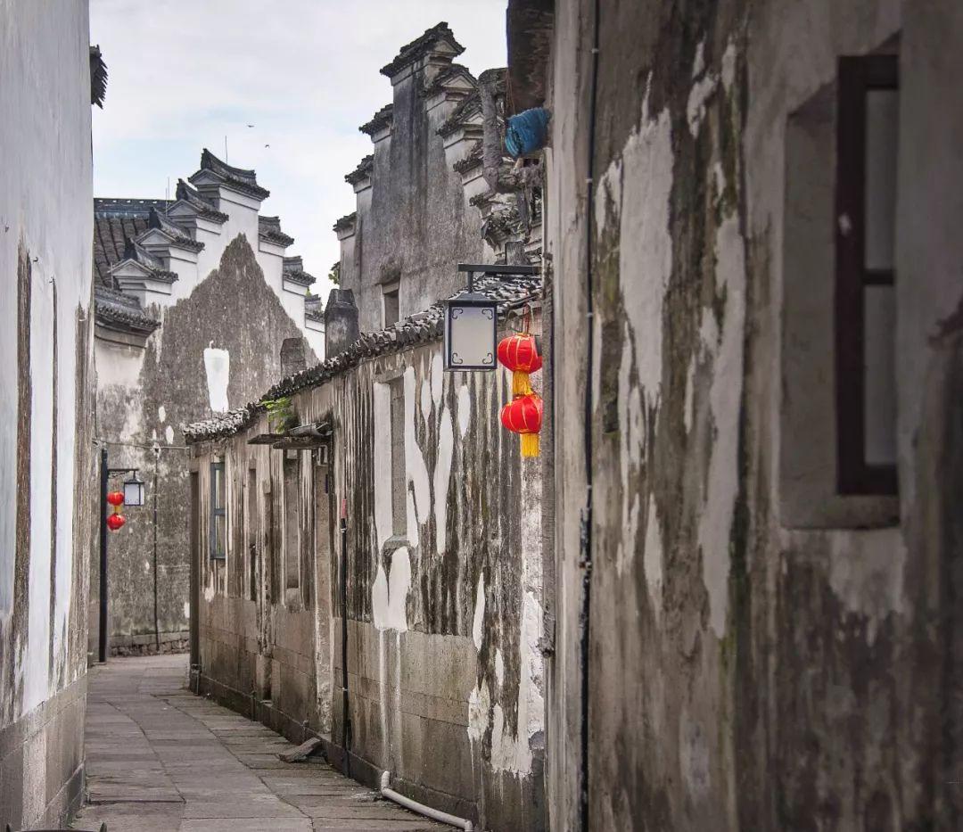 青蛙魔术师